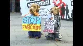 Европа против фашиста Порошенко