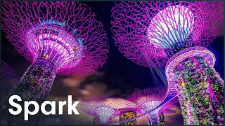 Singapore's Incredible 160-Foot Supertree Statues | Megastructures: Gardens By The Bay | Spark