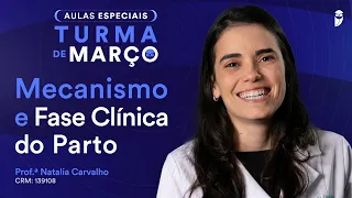 Pré-natal - parte 1 - Aula de Obstetrícia do Curso Extensivo Residência Médica