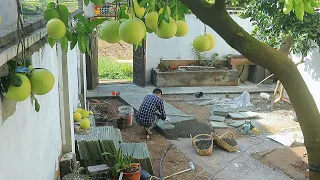 10 years after grandpa passed away, Grandson returns to his hometown to renovate the garden