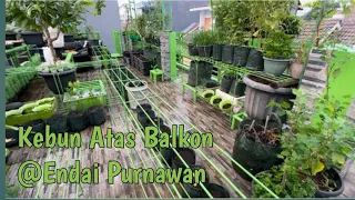 Perubahan Kebun || Pengecetan Rak || Tanaman Buah Bergeser Tempat@EndaiPurnawan