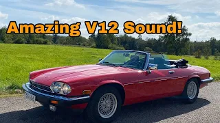 The Slight Modifications to this Jaguar XJS V12 Makes it Sound Amazing!