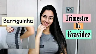 DIÁRIO DE GRAVIDEZ : 1° TRIMESTRE, ENJOO, SANGRAMENTO ETC..  -  Vanyele Pessanha