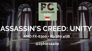 AMD FX-6300 + R9 380 4GB - Assassin's Creed Unity (1440p)
