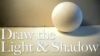 Basics #48 - How to draw the light and shadow with charcoal