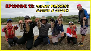 EPISODE 13: GIANT PRAWNS (pandadala ng malalaking sugpo) | CATCH & COOK