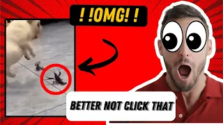 Ultimate Laugh Challenge! Funny Meme Compilation 2024 - Try Not to Laugh! 😂🔥" #7