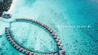 Maldives VLOG 1. Первый полет на гидроплане/Неожиданный сюрприз от отеля.