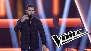 Ray Hardy Johansen - Banjo | The Voice Norway 2019 | Blind Audition