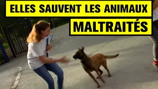 Elles sauvent les ANIMAUX MALTRAITÉS