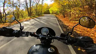 Harley Davidson Street 750 Autumn Ride POV