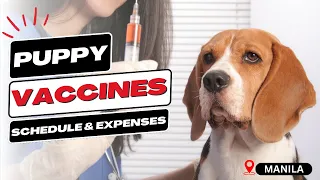 Puppy Vaccine Schedule and Prices | Philippine Peso