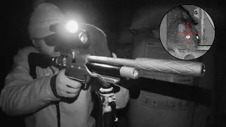 The Airgun Show – night-time rat attack with the Sightmark Wraith, PLUS the Zeiss Conquest V4 scope…