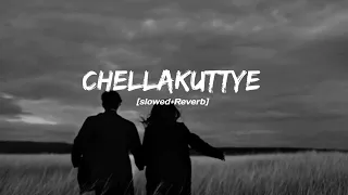 chellakuttyie •||Slowed Reverb||• Avastha