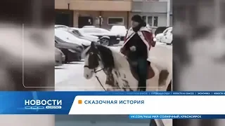 Рыцаря в мантии и на белом коне заметили жители Солнечного