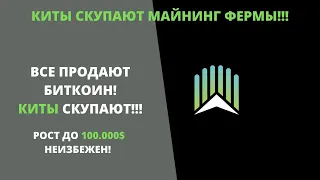 Не ведитесь! Пока все продают биткоин, киты жадно скупают! Northern Data приобретет компанию с 33000