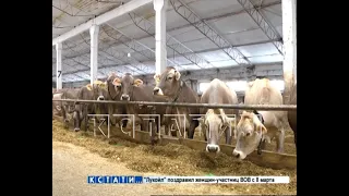 Своя кибер-ферма с максимальной цифровизацией создана в Нижегородской области