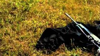 Ruger Mini-14 Target Rifle Amazing Accuracy