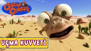 Oscar Çöllerde🦎 | Uçma Kuvveti 🤩 | Minika