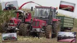 Schlüter Traktoren beim Maishäckseln für eine BGA // 3. Feldtag Schlüterclub Schwaben // 2017