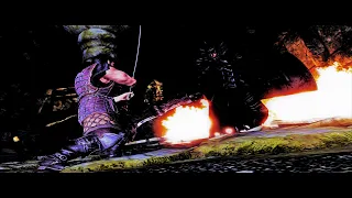 Skyrim Mod: Colorful Magic Boss Fight | Warrior of Black Dragon