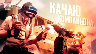 🔴Качаем Егорку🔴Tortee PUBG Mobile