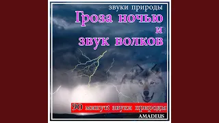 Гроза ночью и звук волков: звуки природы