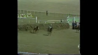 100 Greatest Sporting Moments - Red Rum Winning The Grand National 1977 - Recorded from BBC 2 1987