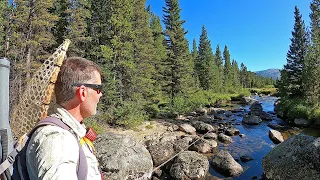 Fly Fishing a Small Stream in Wyoming for Wild Rainbow, Brown and Brook Trout!