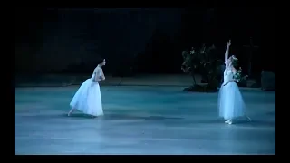 8 ballerinas in Giselle Act II - entrance