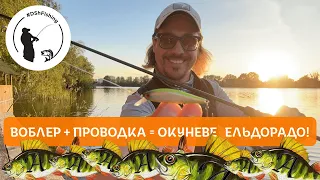 Воблер + проводка = Окуневе Ельдорадо