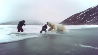 The Terrifying Last Minutes of Photographer Tom Willis (Polar Bear attack)