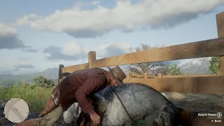 Red Dead Redemption 2 | Accidentally killed Dawg, my War Horse