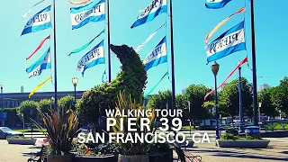 Exploring Pier 39 in San Francisco, California USA Walking Tour #pier39 #sanfrancisco #embarcadero