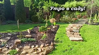 Утро в саду 🥰! Без слов 😍