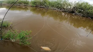 рыбалка на паук подъёмник поехали кататься на моторках наловили Сазанов