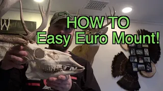 Quick and Easy European Mount | Deer Mount How To