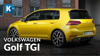 A TUTTO GAS! | VOLKSWAGEN GOLF 1.5 TGI METANO