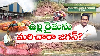 ఉల్లి రైతులను మరచిన జగన్‌  | CM Jagan Cheats Onion Farmers | Idisangathi