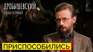 Как человек адаптировался к разным климатическим зонам? // Дробышевский. Человек разумный