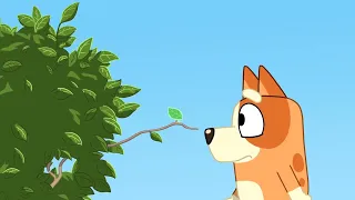 Bluey Pilot: Are You A Leaf Pt 1