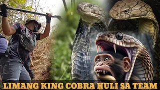 KIKILABUTAN KA SA LIMANG KING COBRA SA QUEZON PROVINCE #tolcobra #cobraprince #cobraking