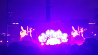 Red Hot Chili Peppers - Can't Stop Lollapalooza Chicago 2016