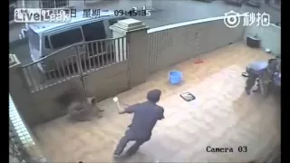 Thieves steal dogs in China to restaurant