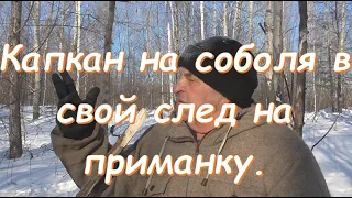 Капкан на соболя в свой след на приманку