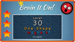 Brain It On! Level 30 One Shape MAGNETS! by nagmok