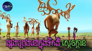 ពួកគេទាំងពីរនាក់ បាននាំគ្នាទៅរៀនរាំក្បាច់ពិសេសពីស្តេចក្តាន់នៅឯទឹកដីវេទមន្ត | Riverdance - សម្រាយរឿង