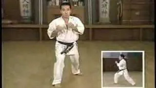 Karate kyokushin kata pinan ura