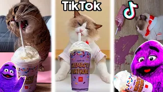 GRIMACE SHAKE AND CATS! - FUNNIEST Tik Tok Trends