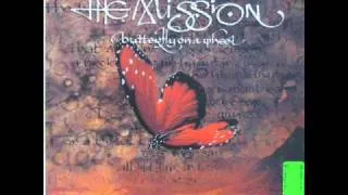 The mission Butterfly on a whellthe magnificent octopus mix